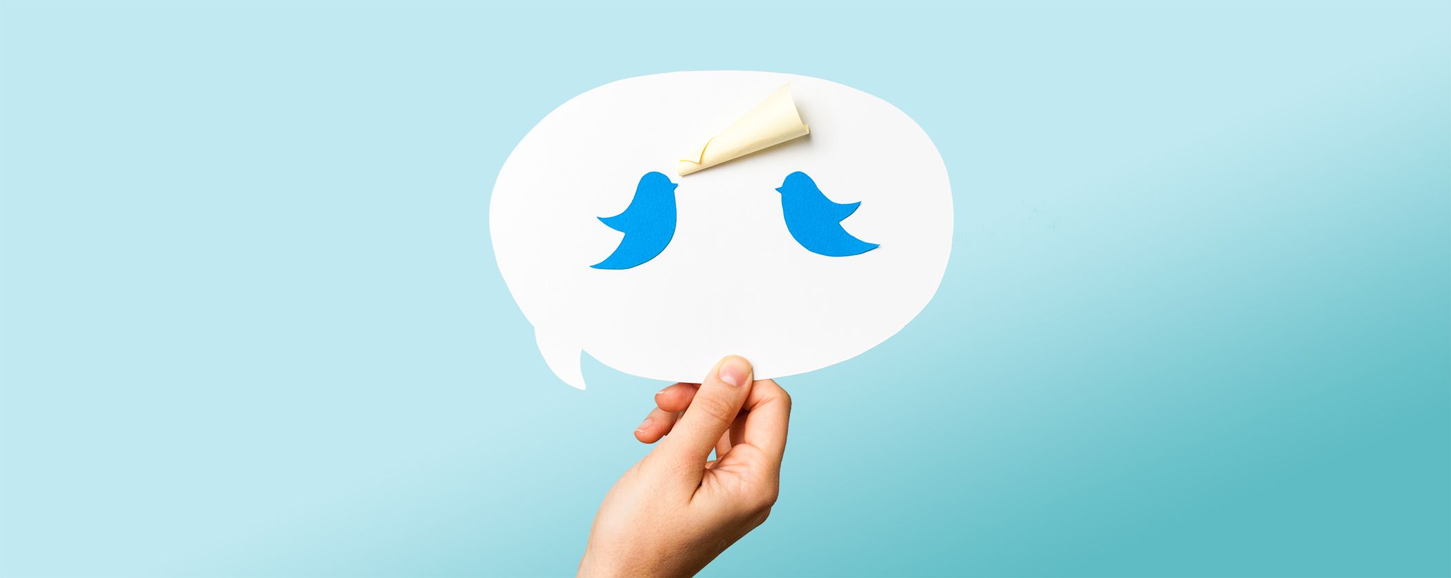 twitter or not to twitter This may help you find twitter followers you know, but if you don't want to, just hit not now step 4: search for interests this will help twitter recommend good profiles for you to follow step 5: twitter will provide you with some accounts you can follow based on your interests pick out a few you like. twitter or not to twitter This may help you find twitter followers you know, but if you don't want to, just hit not now step 4: search for interests this will help twitter recommend good profiles for you to follow step 5: twitter will provide you with some accounts you can follow based on your interests pick out a few you like.