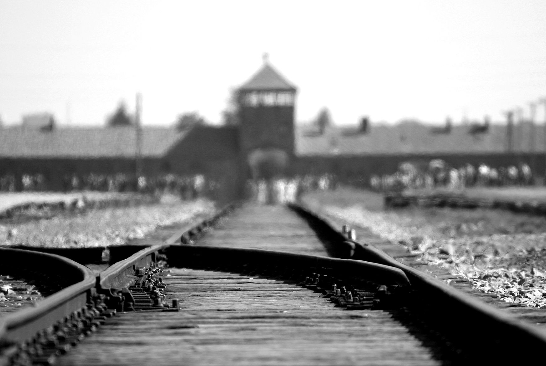 Train tracks into Auschwitz