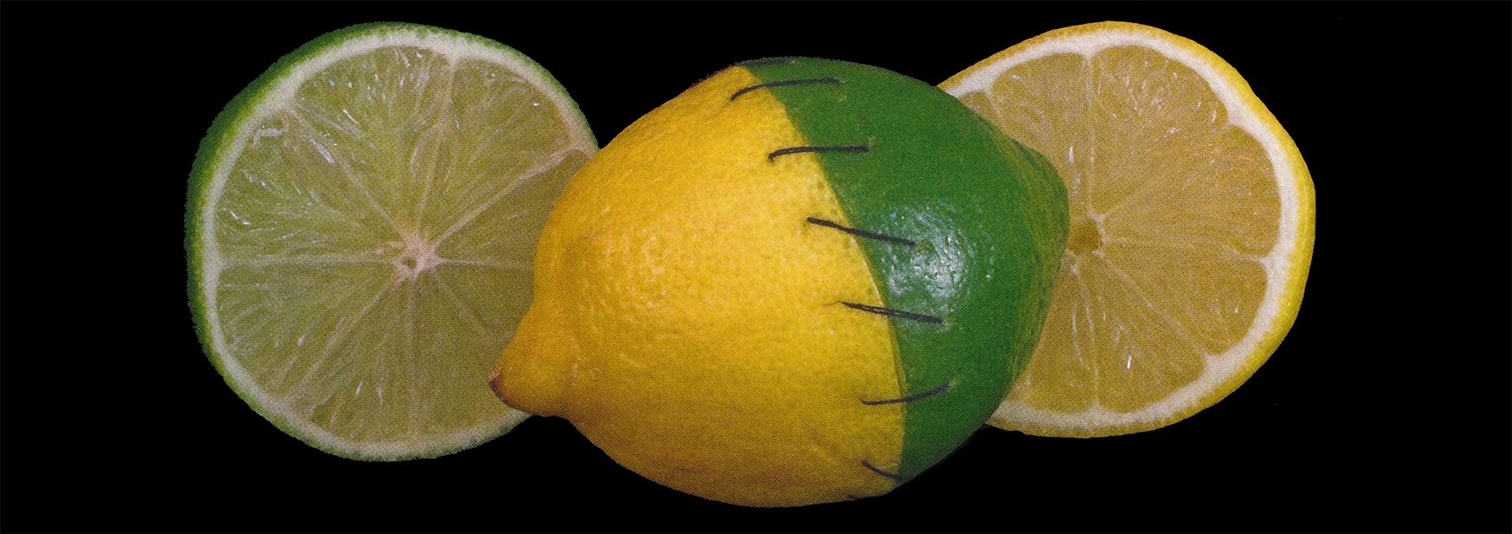 fruit