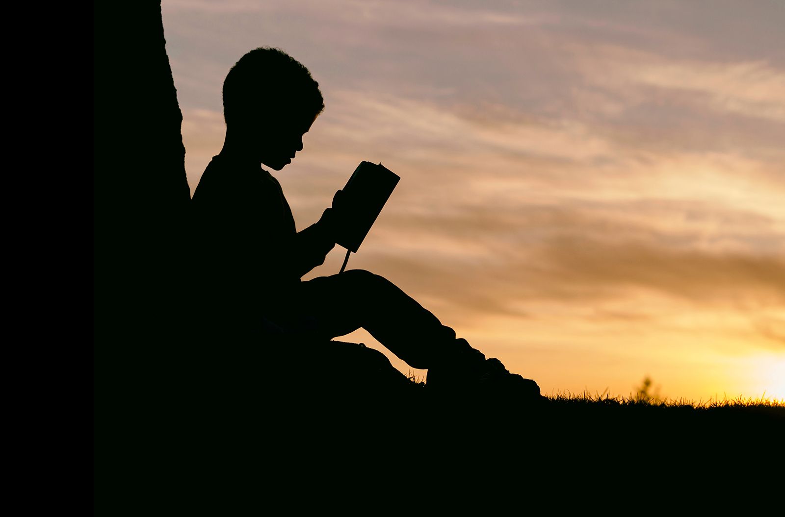 boy reading the Bible