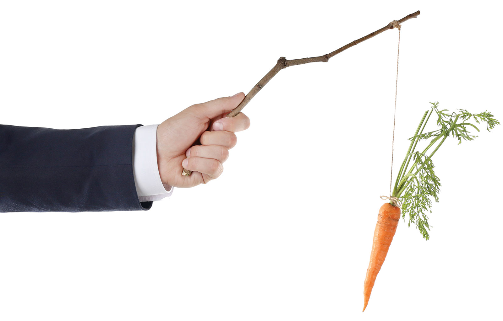 carrot and stick